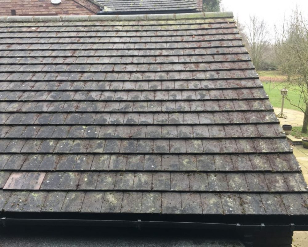 Roof Cleaning Service Moss Removal